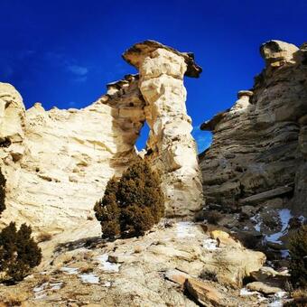 Hotel The Carter Inn