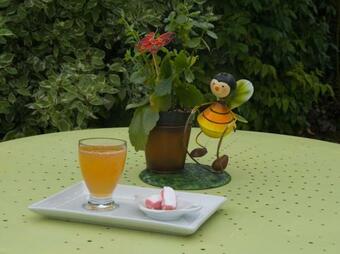 Bed & Breakfast Les Rendzines