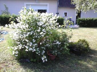 Bed & Breakfast Val�rie G