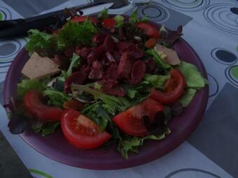 Au Pied Du Figuier - G�te Le Mauzac