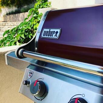 La Vie De Cocagne En Provence