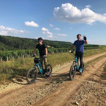 Maison Dans Vignoble C�line Et Fr�d�ric Gueguen