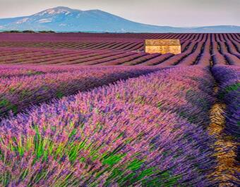 Bed & Breakfast Six Chandelles M'�taient Compt�es