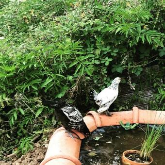 G�te Tanagra : Maison Avec Piscine Et Vue Exceptionnelle