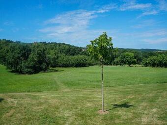 Gorgeous Holiday Home In Saint-beauzile With Private Pool