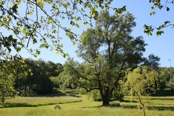 Bulle De Campagne � Saint Benoit La For�t