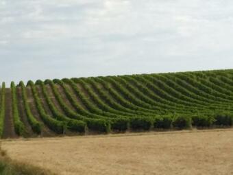 Maison Delmas, L'oustal Du Recantu
