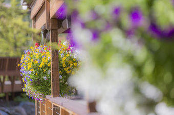 Hotel Mckinley Chalets