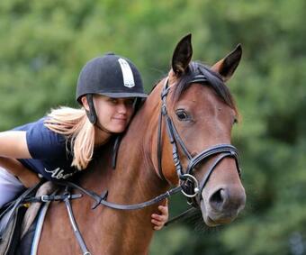 Le Hameau Des Grilles