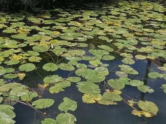 Bateau Insolite Tout Confort 5 Personnes Terrasse