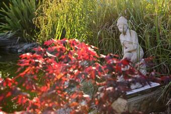 Bed & Breakfast Chez Pique-fesse