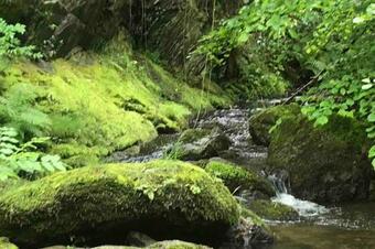 Les Terrasses Aux Citronniers