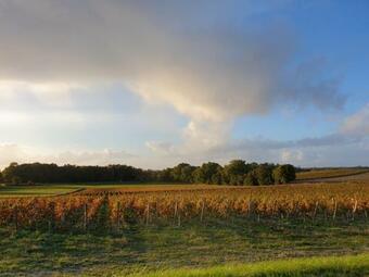 Hostal Le Logis Du M�doc