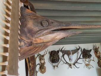 Bed & Breakfast La Chanoinesse