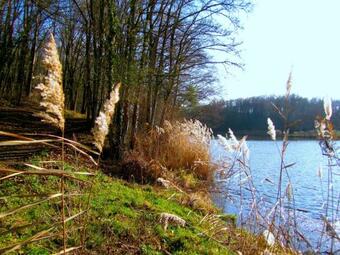 Bed & Breakfast Presbytere