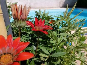 Hostal Chambre D'h�tes Avec Piscine