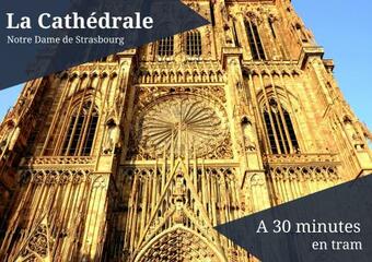 Apartamento Le Z�nith - Golden Tree - Parking Priv� & Wifi - 5 Min Z�nith de Strasbourg