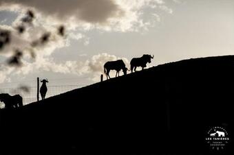 Lodge Les Tani�res Du Zoosafari De Thoiry