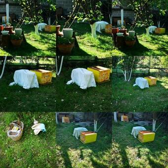 Bed & Breakfast Villa Le Cloky