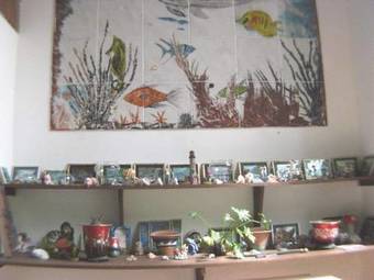 Hostal Pousada Brasil Tropical