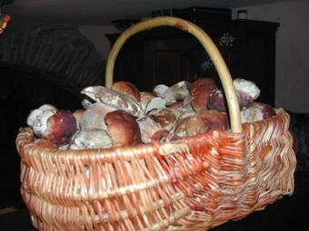 Apartamento Le Grenier D'annick