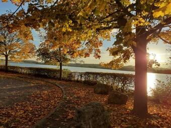 G�te Villegusien-le-lac, 3 Pi�ces, 4 Personnes - Fr-1-611a-17