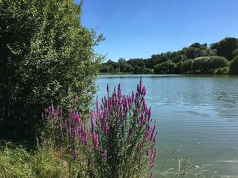 Le Vieux Ch�teau De Saint Martin-lars