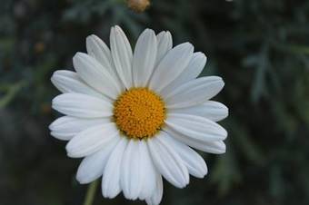 Apartamento Ferienwohnung Leuner