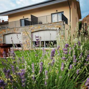 Apartmaji Aucin - Brda