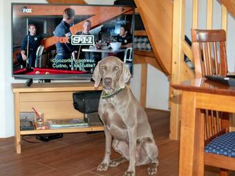 House On The Top Of The Hill