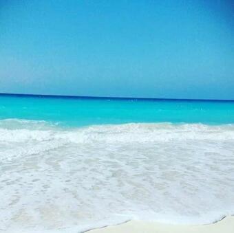 Blumar Sidi Abdel Rahman, Alamein