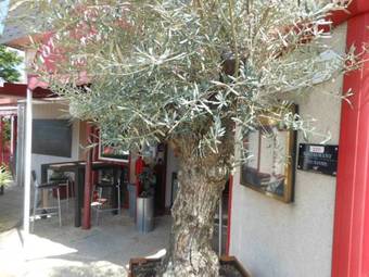 Hotel H�tel Eclipse