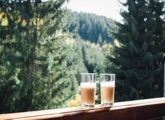 Villa Casa Cifu Toplita