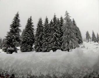 Hostal Pension Cabana Art