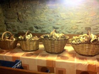 Apartamento Paller Cal Melsio