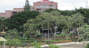 Ver fotos