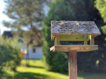 Ubytov�n� U Max�ka