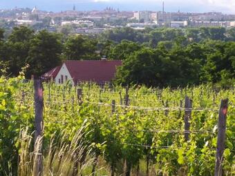 Kate?insk� Skl�pek