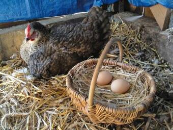 Hostal La Longere De Cabanes