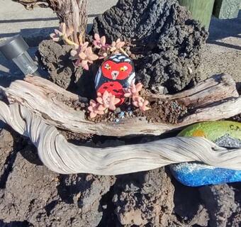 Casa Do Caramba - The Dream House