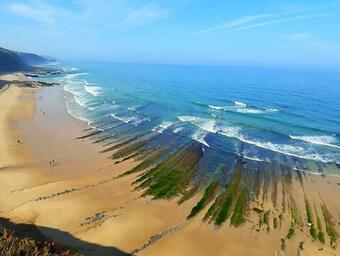 Beach House With Garden