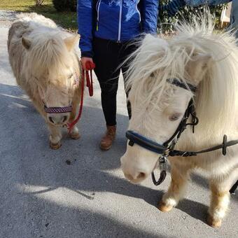 Apartamento Am Valtlhof