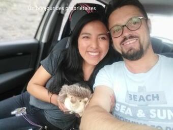 Maison G�te 5 Minutes Du Puy Du Fou