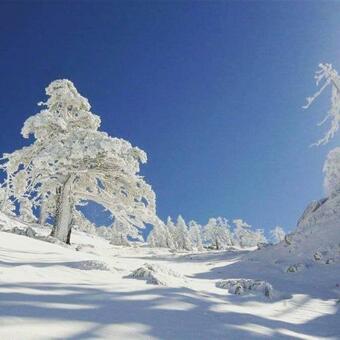 Bed & Breakfast Il Vicoletto