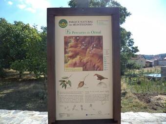 Apimonte Casa Do Serra - Pn Montesinho