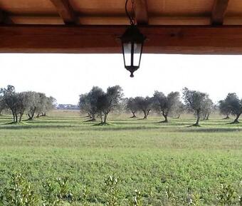 Agroturismo Agriturismo Le Chiare Stelle