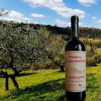 Podere Il Cardellino