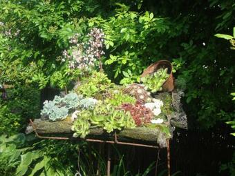 Apartamento Tauchparadies Kreidesee