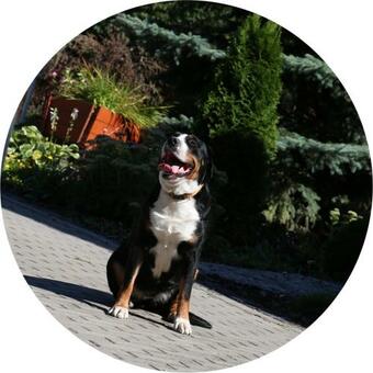 Moderne Jurte Herbsleben