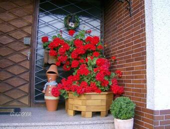 Apartamento Ferienwohnung Herrmann